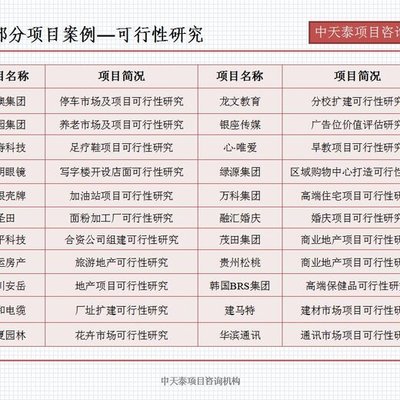 《濟(jì)南市眼鏡架產(chǎn)業(yè)重組技改招商項(xiàng)目融資可行性研究報(bào)告》寫(xiě)作指南